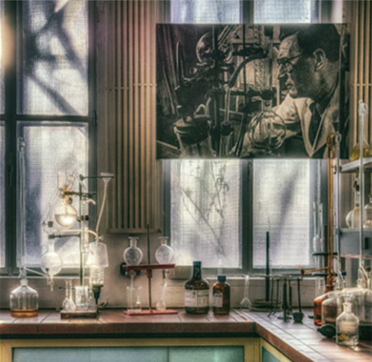 3118피FILTŮʿ{ƳֲԭҺ_yƷr