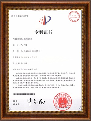 Wm_ԭҺZL 2016 3 0500657.3