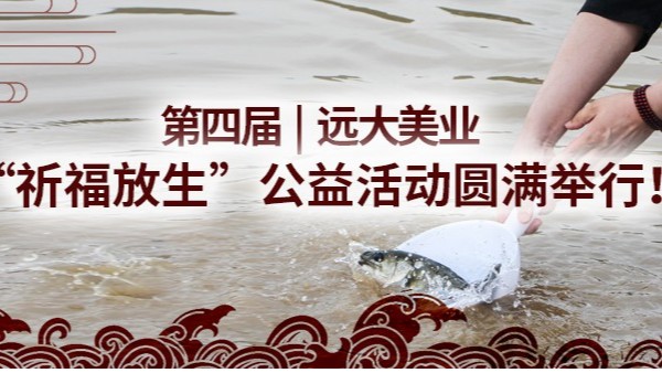 Č|3118피F(tun)I(y)(dng)AMeУ