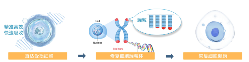 ΢ňDƬ_20250702144432