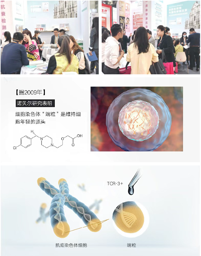 ΢ňDƬ_20250313103350